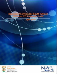 This report was written as part of the South African Foresight Exercise for Science, Technology and Innovation 2030 (SAForSTI) and it presents the results of the Big Data Analysis