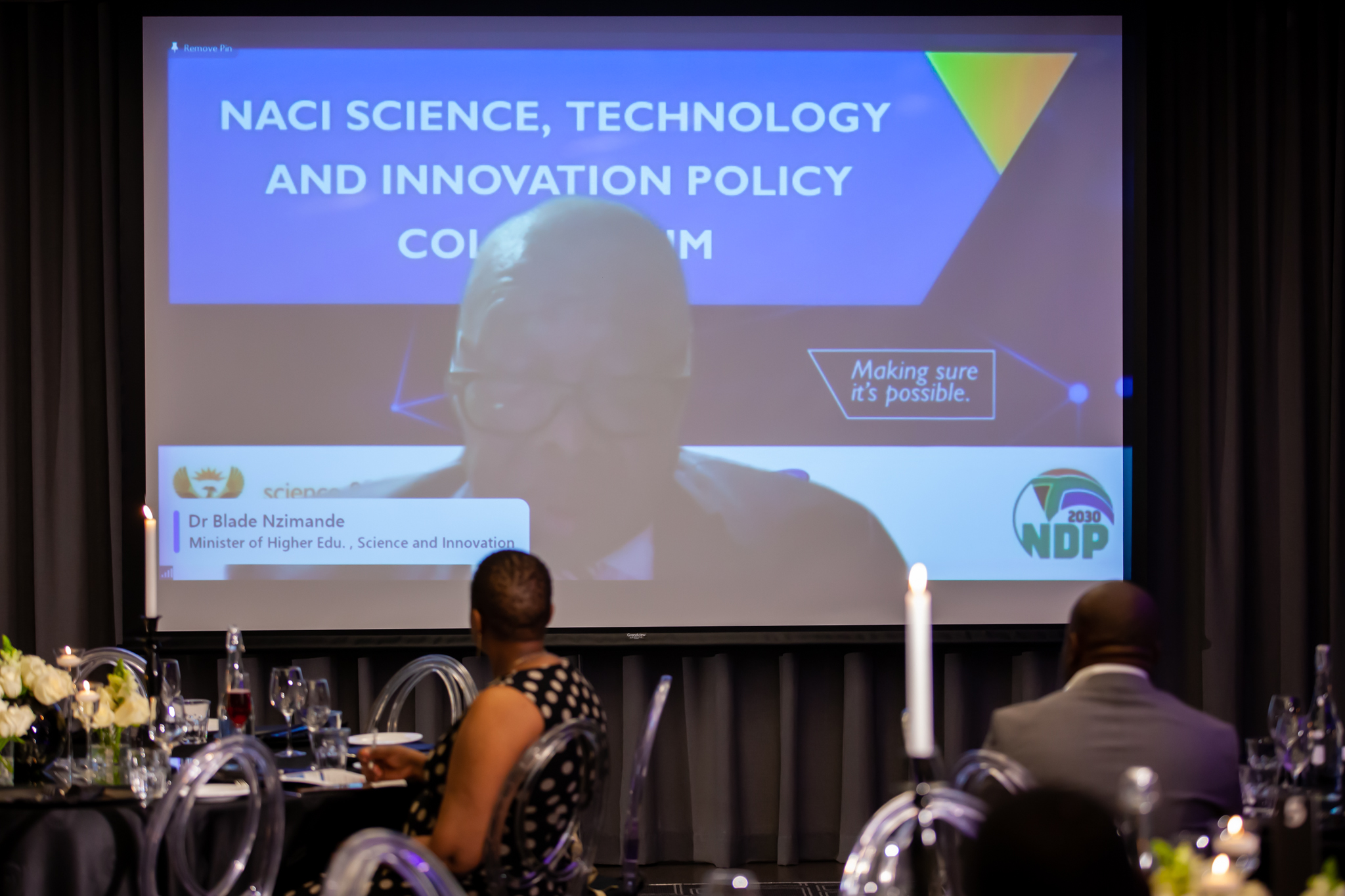 Minister of Higher Education, Science and Innovation, Honorable  Dr Blade  Nzimande