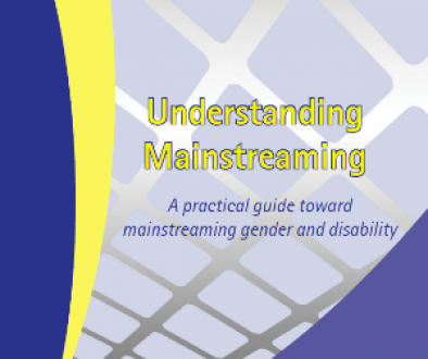 Understanding Mainstreaming cover 300x408
